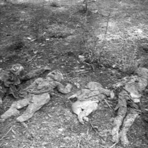 Подсећање на Велики отаџбински рат 1941-1945. Лешеви жена и деце, зверски мучени од стране нациста током повлачења